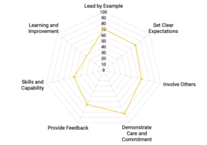 Radar chart highlighting leadership strengths and areas for improvement.